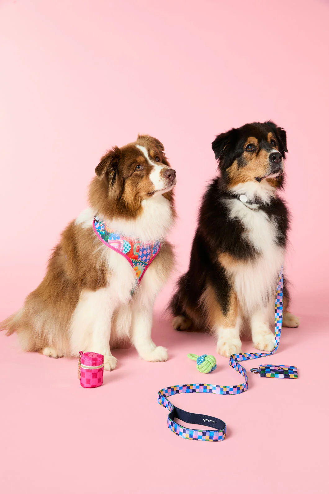 Checkers Pet Gift Set - Image 2