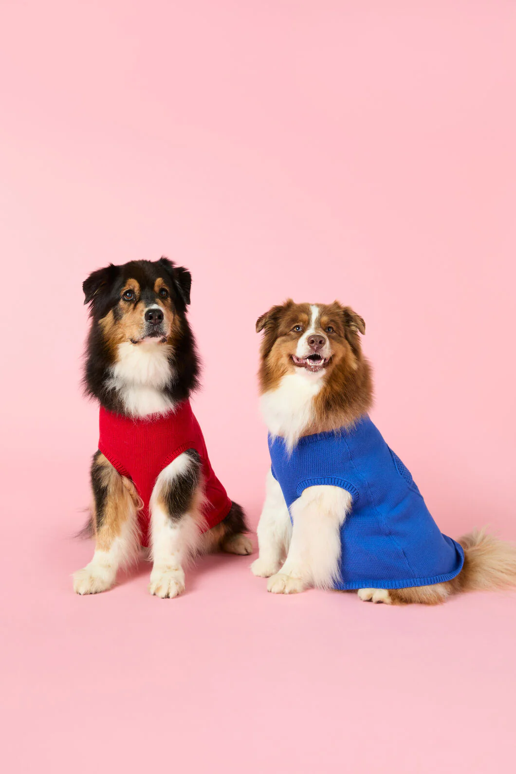 Heart Felt Knit Dog Jumper - Image 3