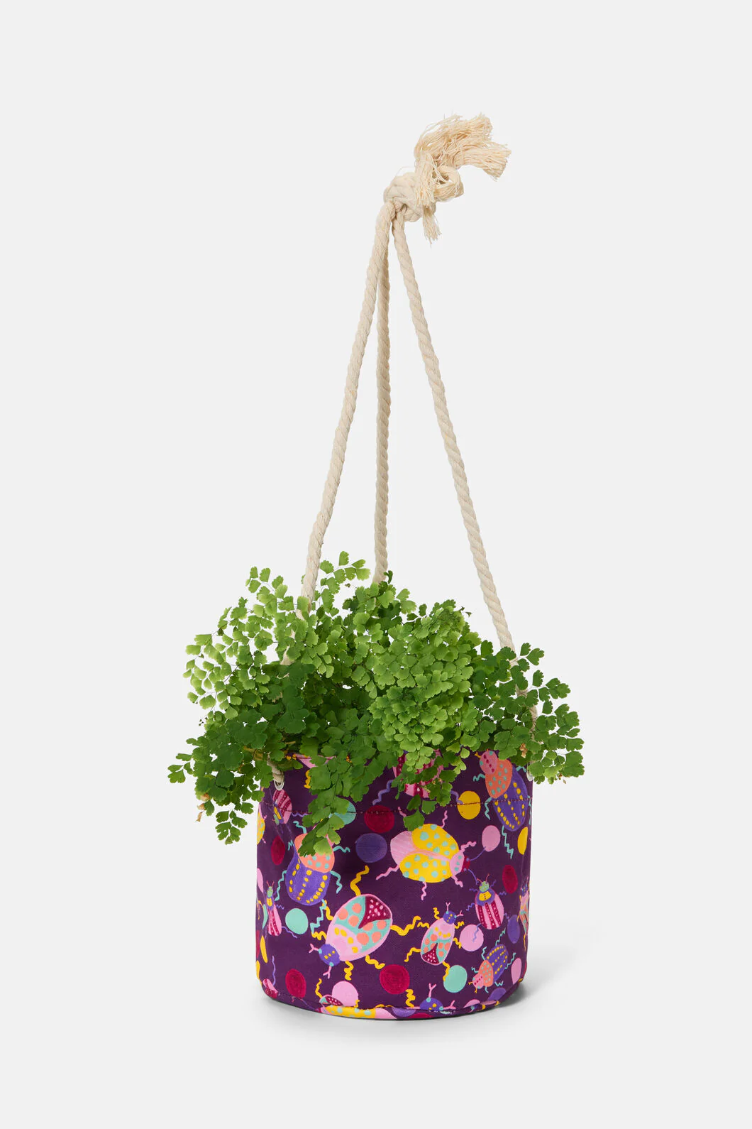 Plum Beetle Hanging Planter Small - Image 2